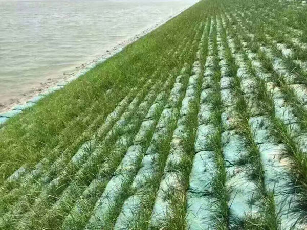 生態袋案例